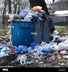 Best Same-Day Junk Removal Services  in Ridge Wood Heights, FL