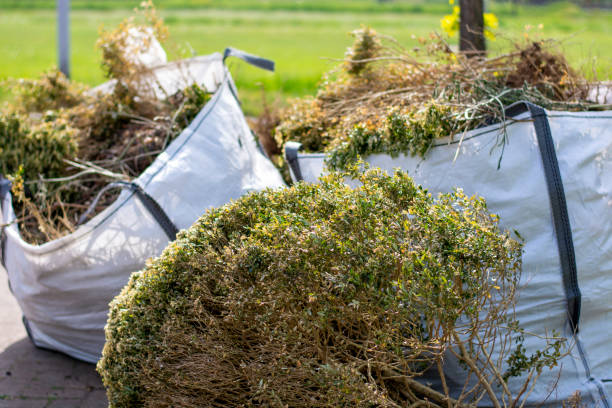 Best Garage Cleanout  in Ridge Wood Heights, FL